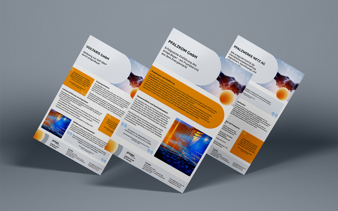 Referenzen Pfalzwerke, Pfalzkom & Voltaris